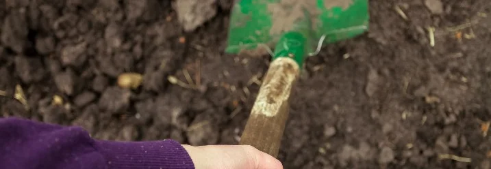 Hand hält einen Spaten im Gartenboden